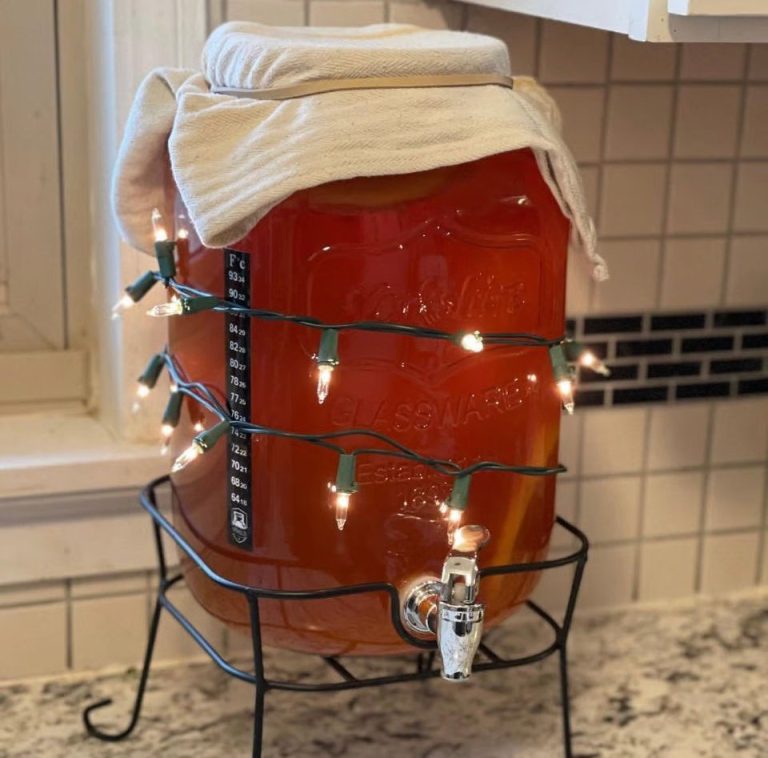 Everything You Need to Get Started with a Continuous Brewing Kombucha System