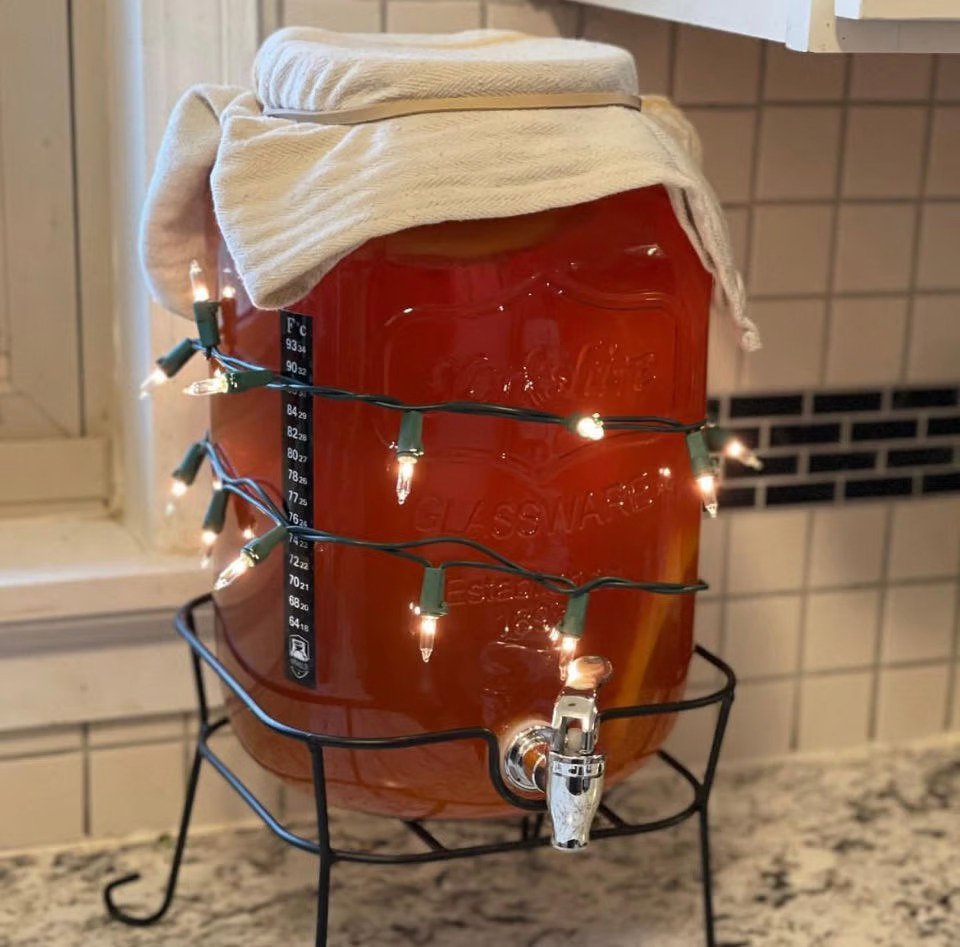 Everything You Need to Get Started with a Continuous Brewing Kombucha System