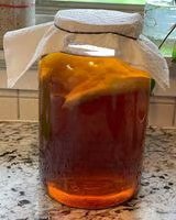 How to make incredible single brew kombucha at home