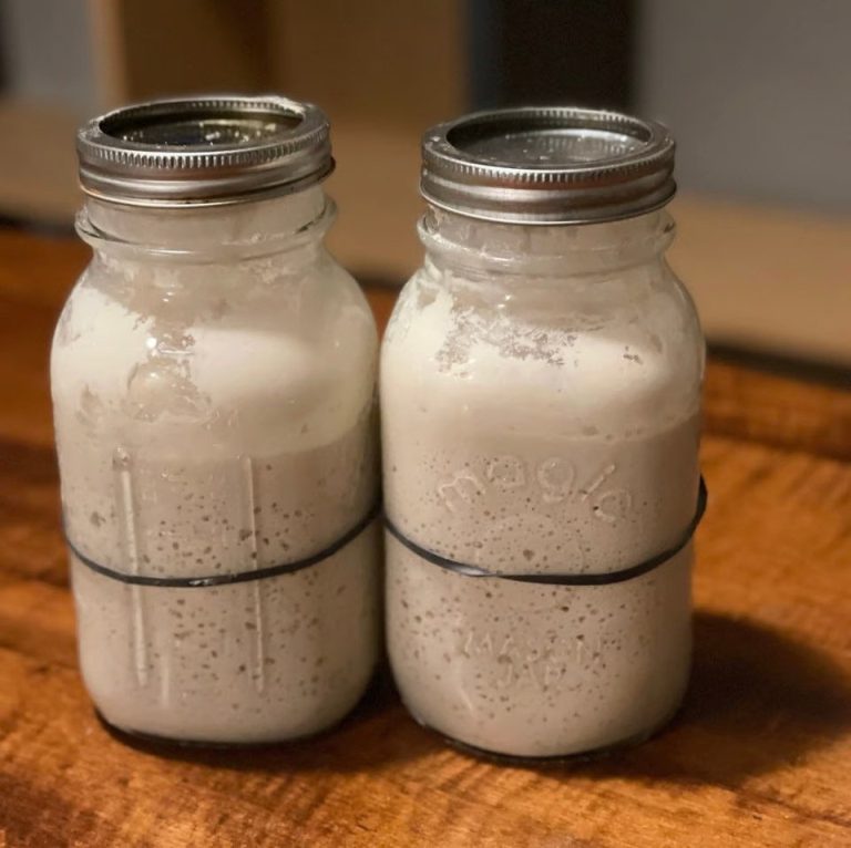 Starting Fro-dough, My Gluten Free Sourdough Starter